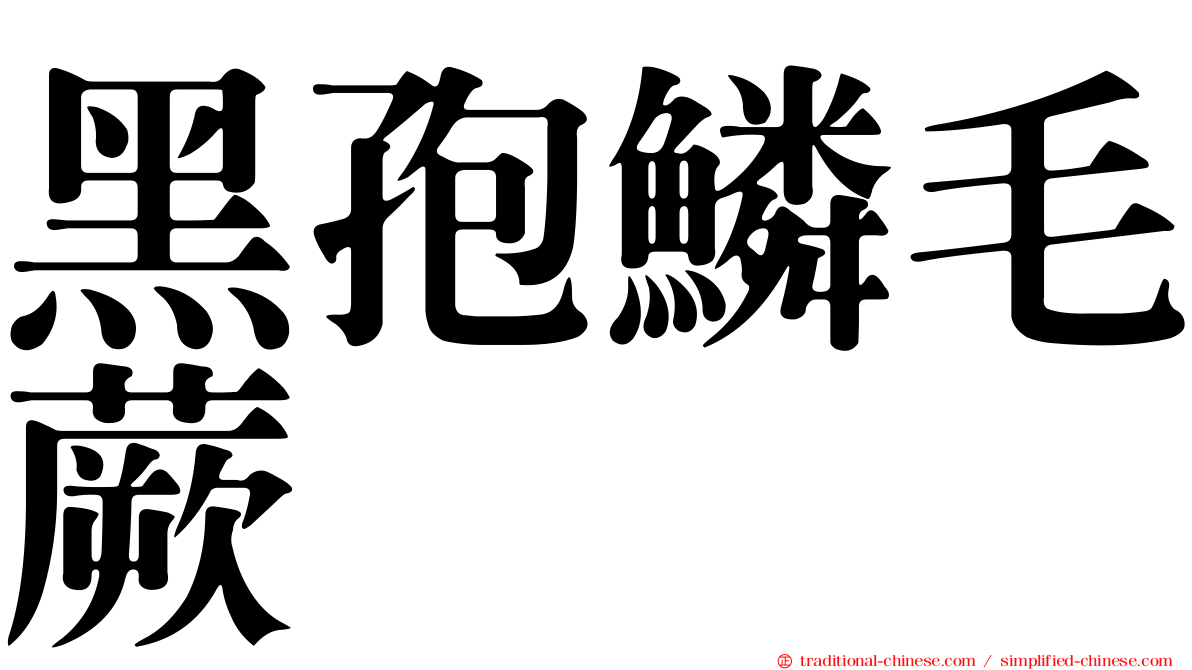 黑孢鱗毛蕨