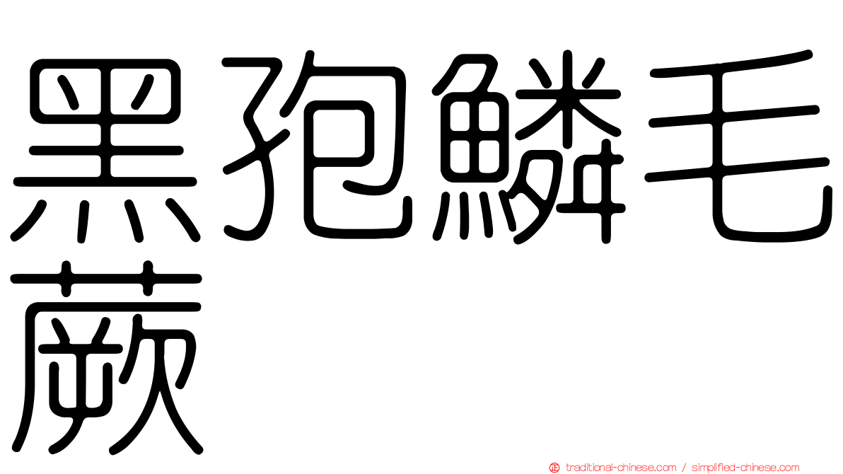黑孢鱗毛蕨
