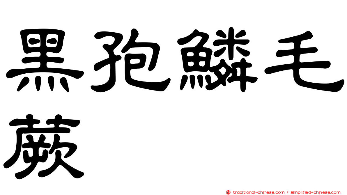 黑孢鱗毛蕨