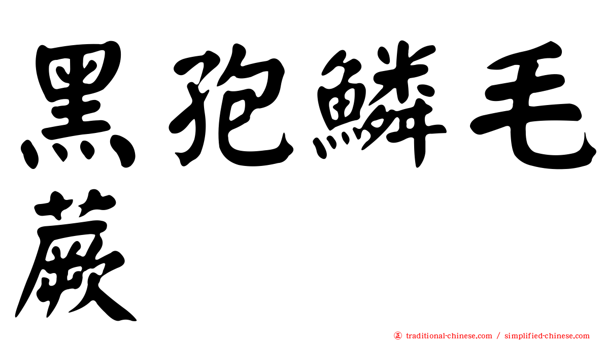 黑孢鱗毛蕨