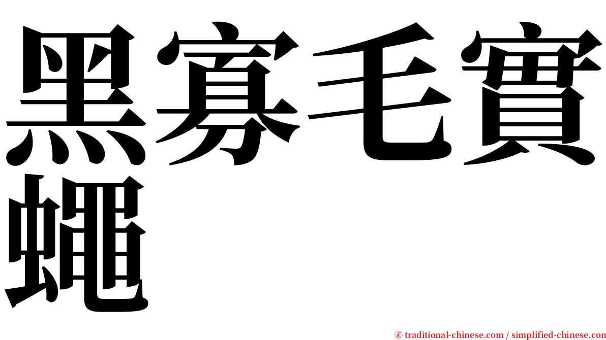 黑寡毛實蠅 serif font