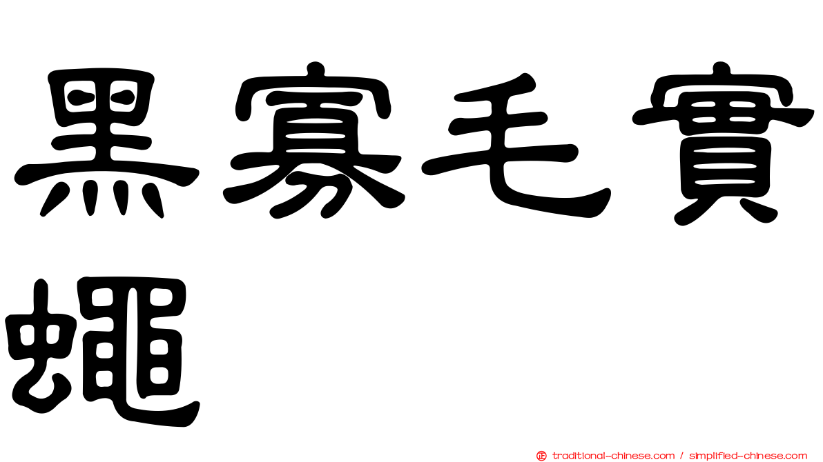 黑寡毛實蠅
