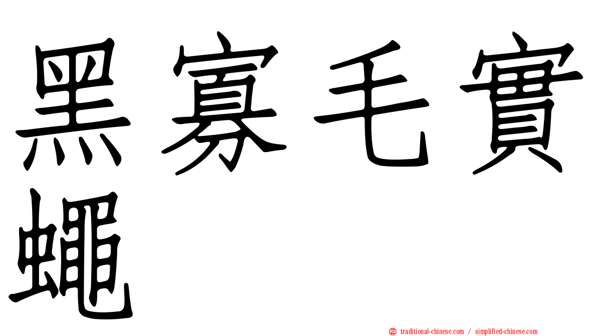 黑寡毛實蠅