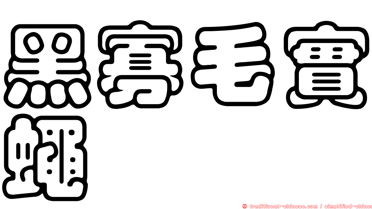 黑寡毛實蠅