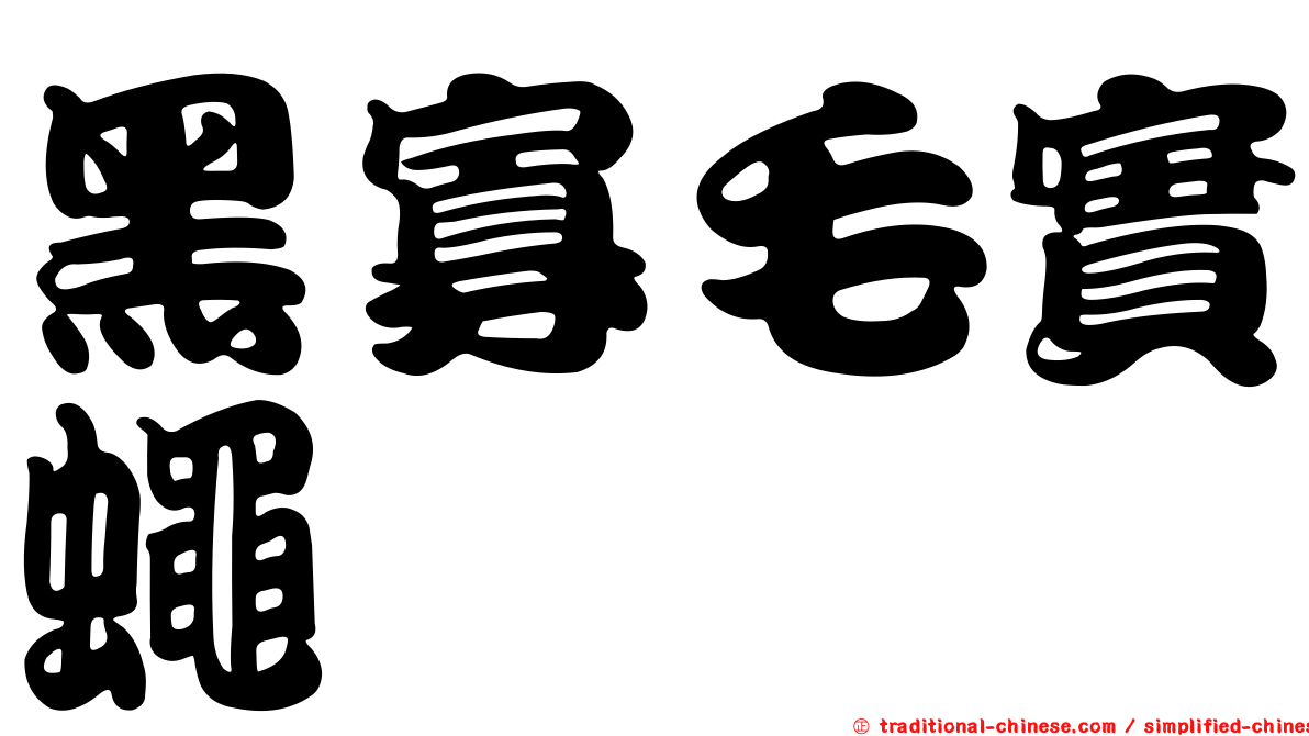 黑寡毛實蠅