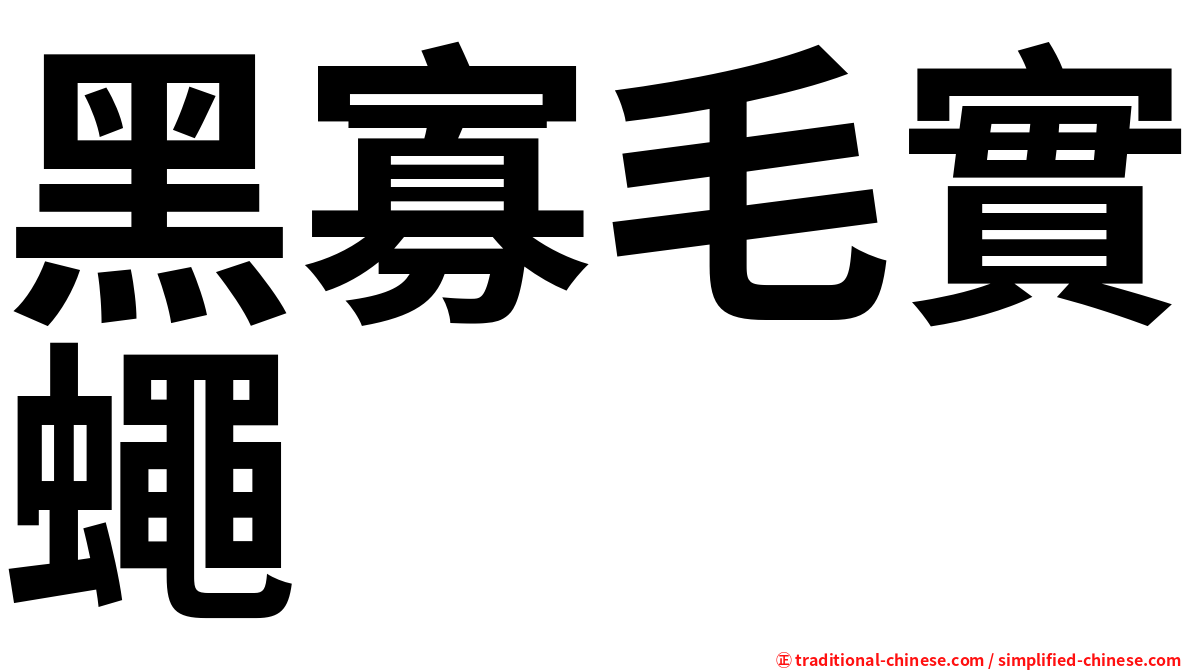 黑寡毛實蠅