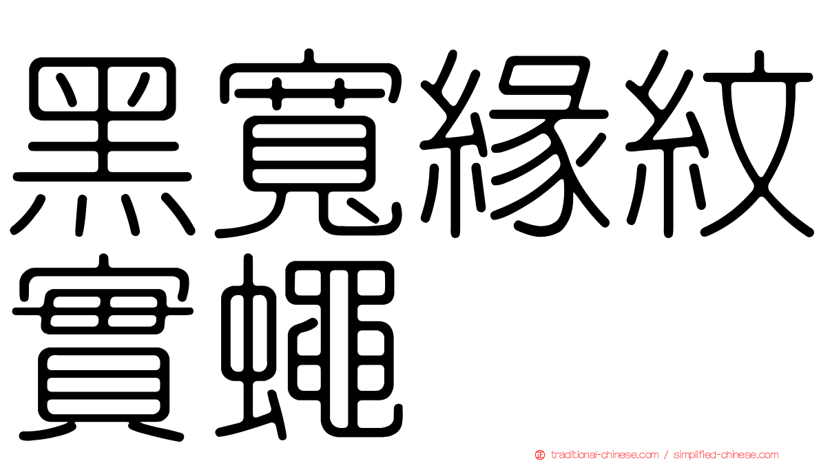 黑寬緣紋實蠅