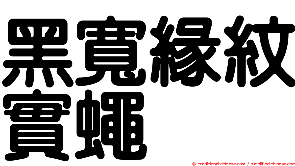 黑寬緣紋實蠅
