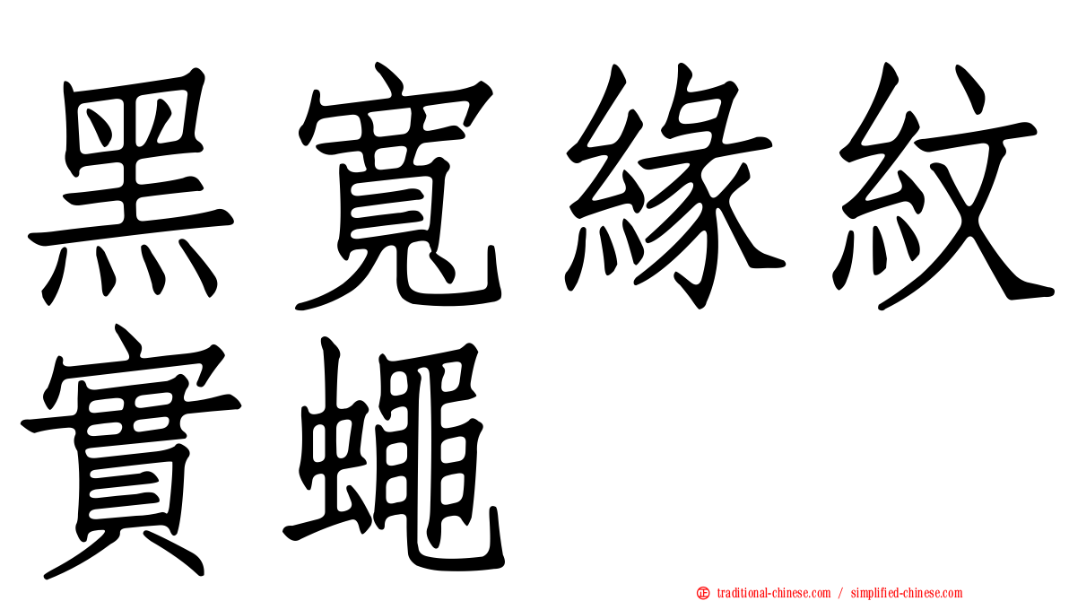 黑寬緣紋實蠅