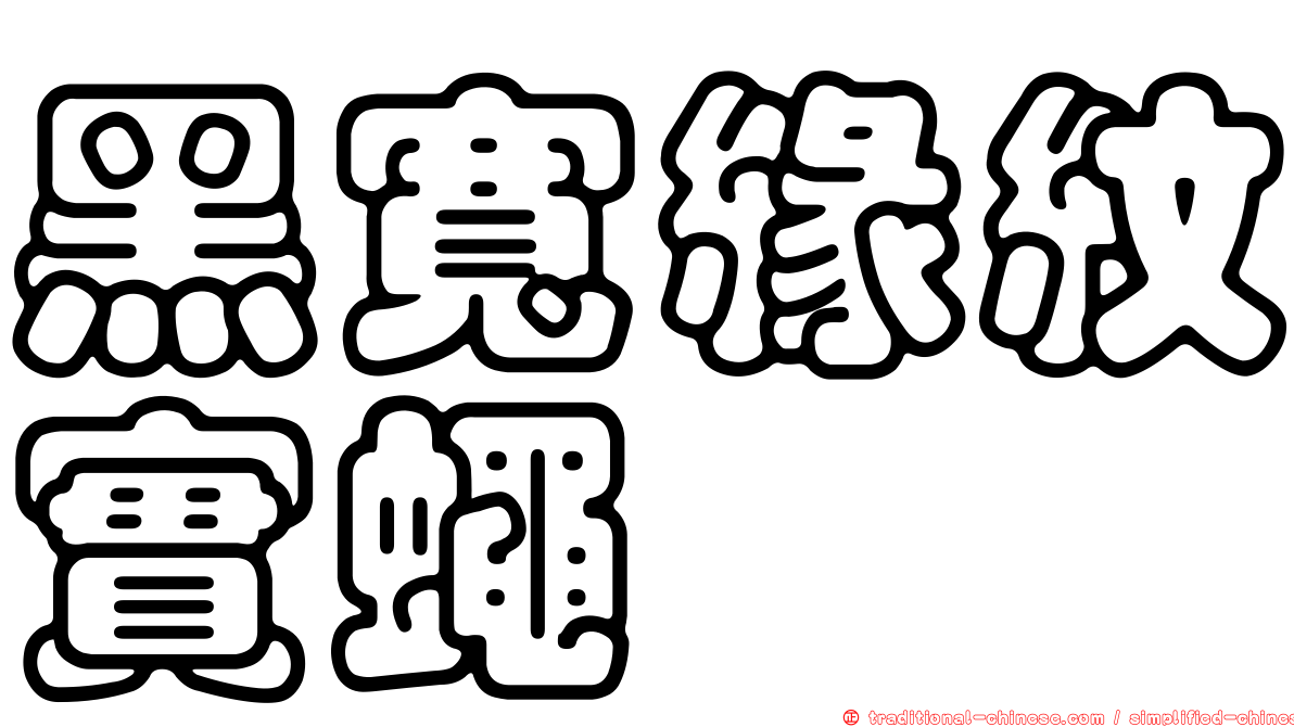 黑寬緣紋實蠅