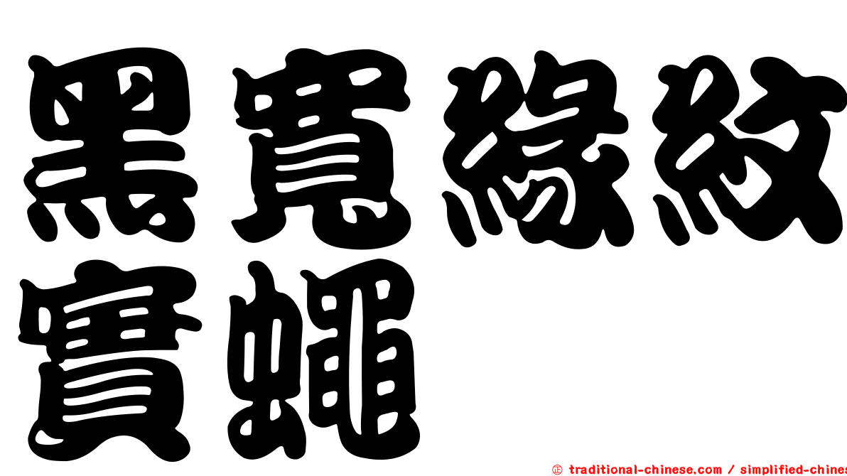 黑寬緣紋實蠅