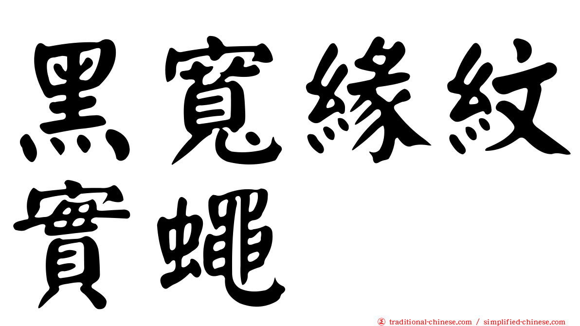 黑寬緣紋實蠅