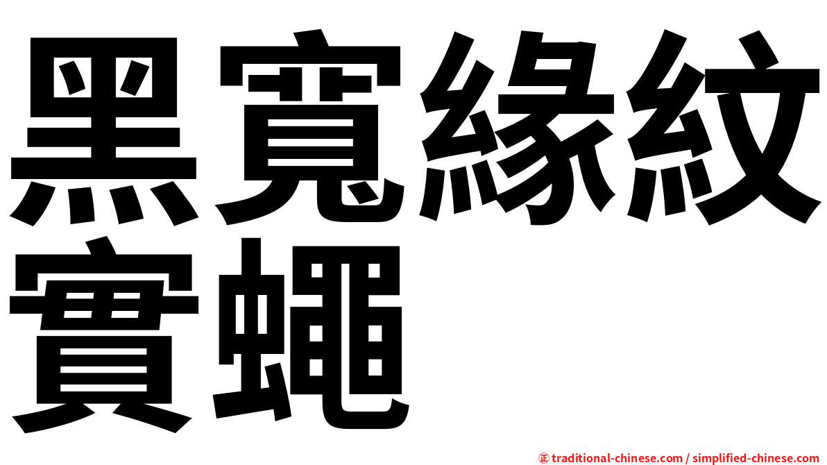 黑寬緣紋實蠅