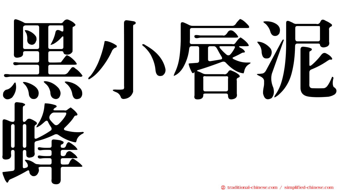 黑小唇泥蜂