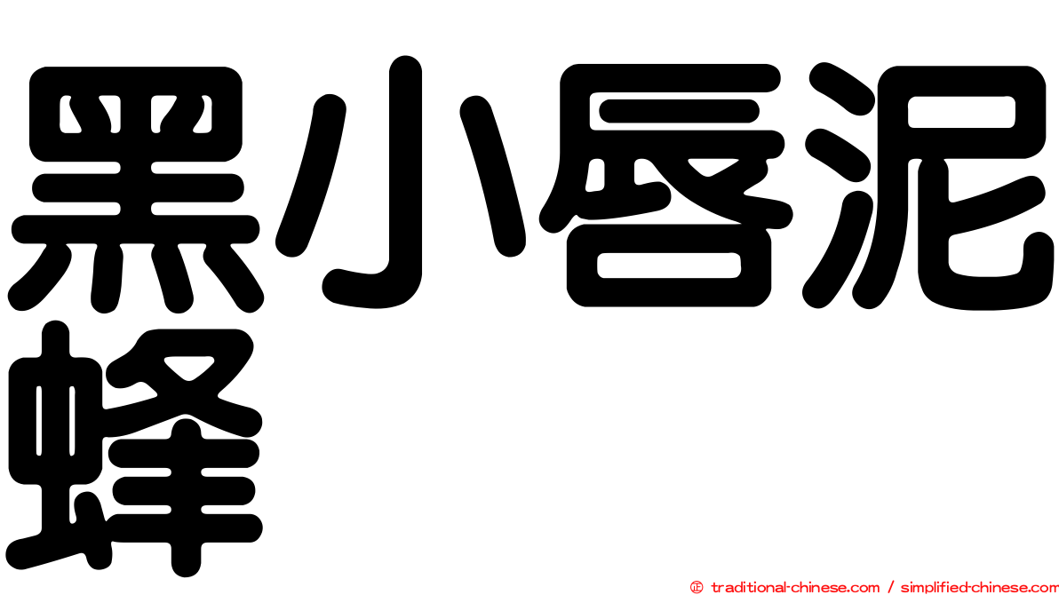 黑小唇泥蜂