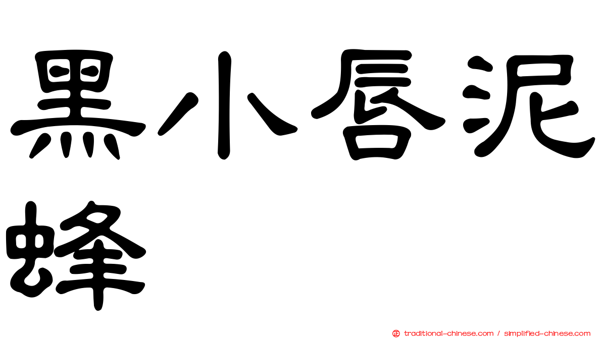 黑小唇泥蜂