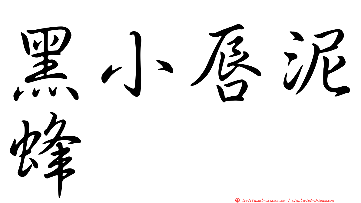 黑小唇泥蜂