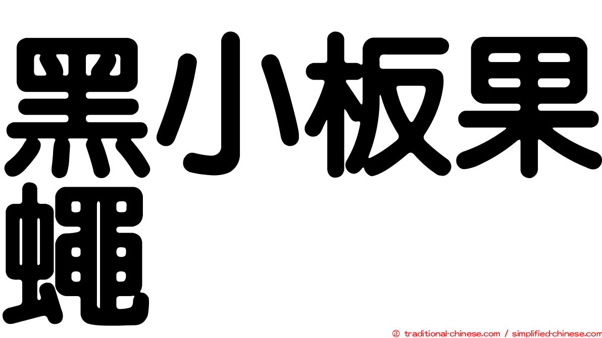 黑小板果蠅