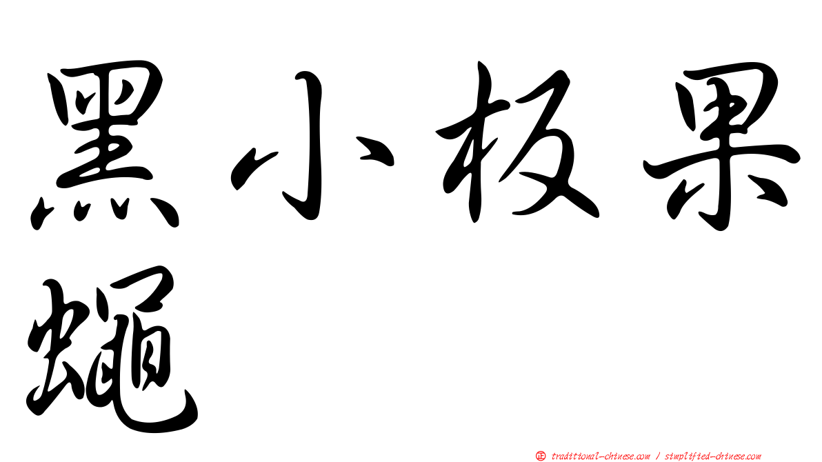 黑小板果蠅