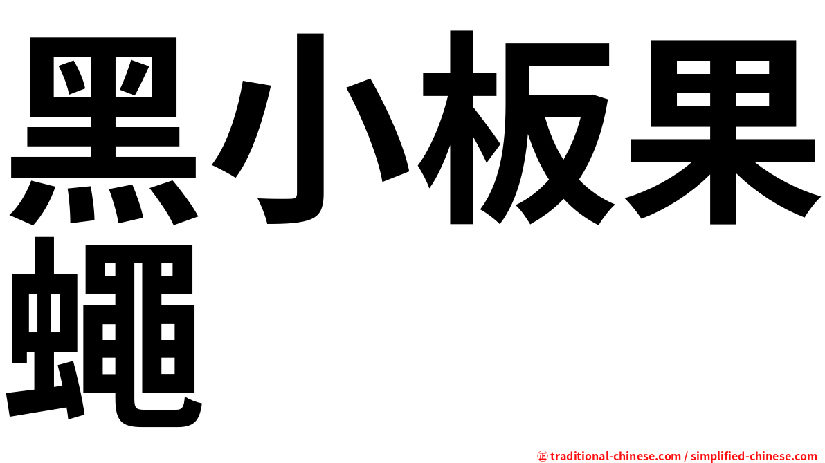 黑小板果蠅