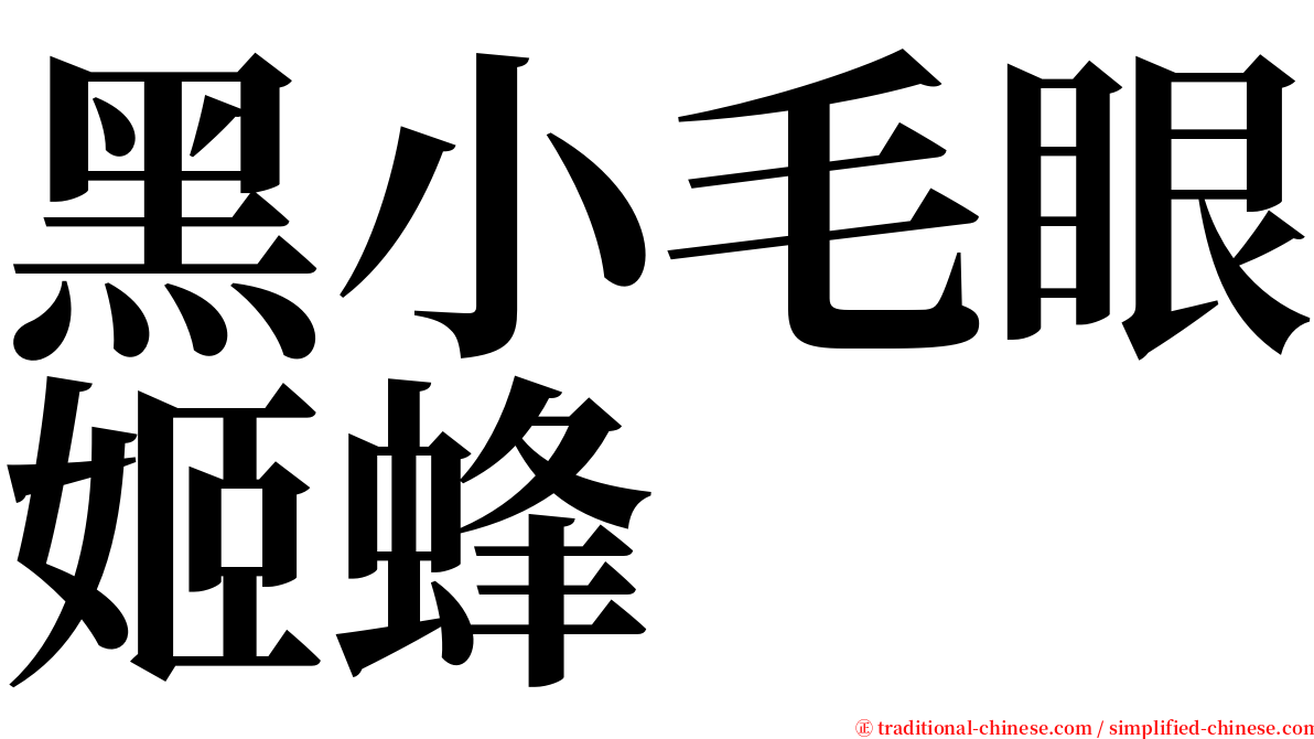 黑小毛眼姬蜂 serif font
