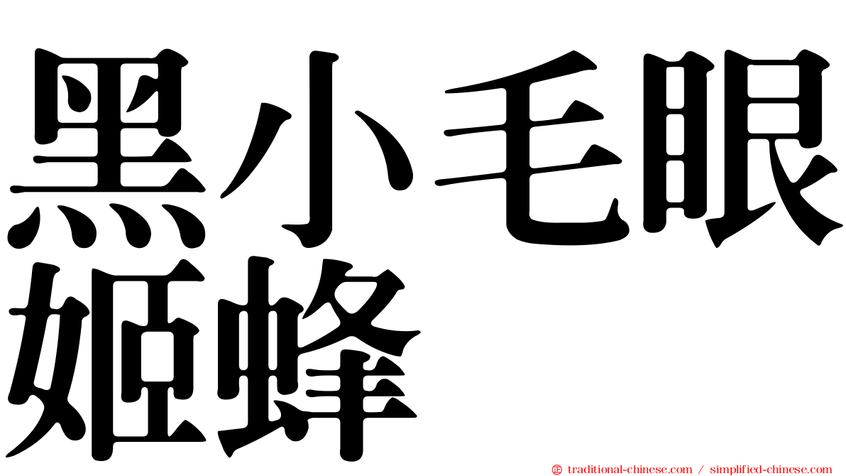 黑小毛眼姬蜂