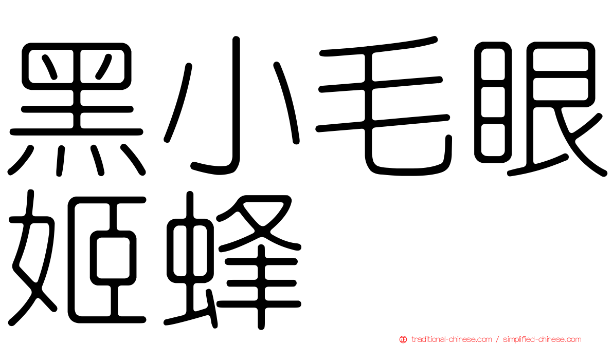 黑小毛眼姬蜂