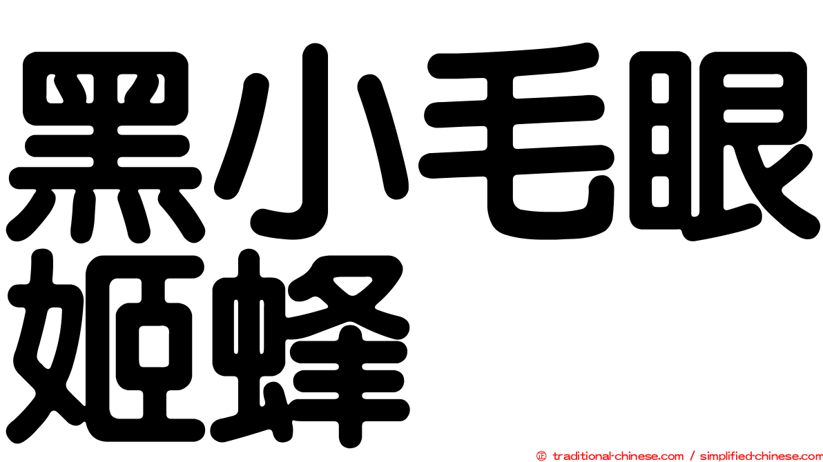 黑小毛眼姬蜂