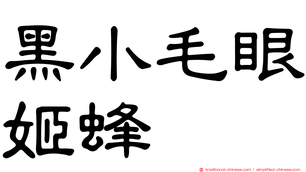 黑小毛眼姬蜂
