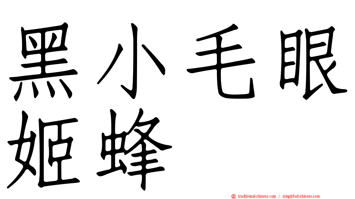 黑小毛眼姬蜂