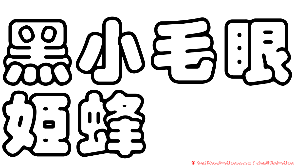 黑小毛眼姬蜂