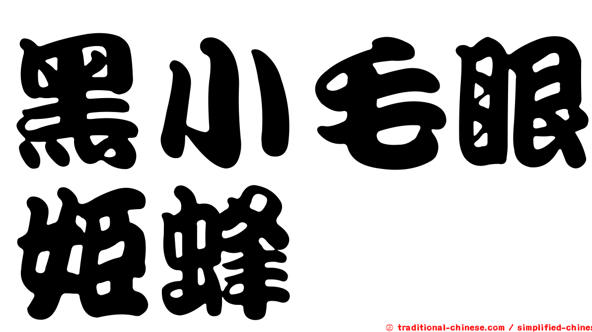 黑小毛眼姬蜂