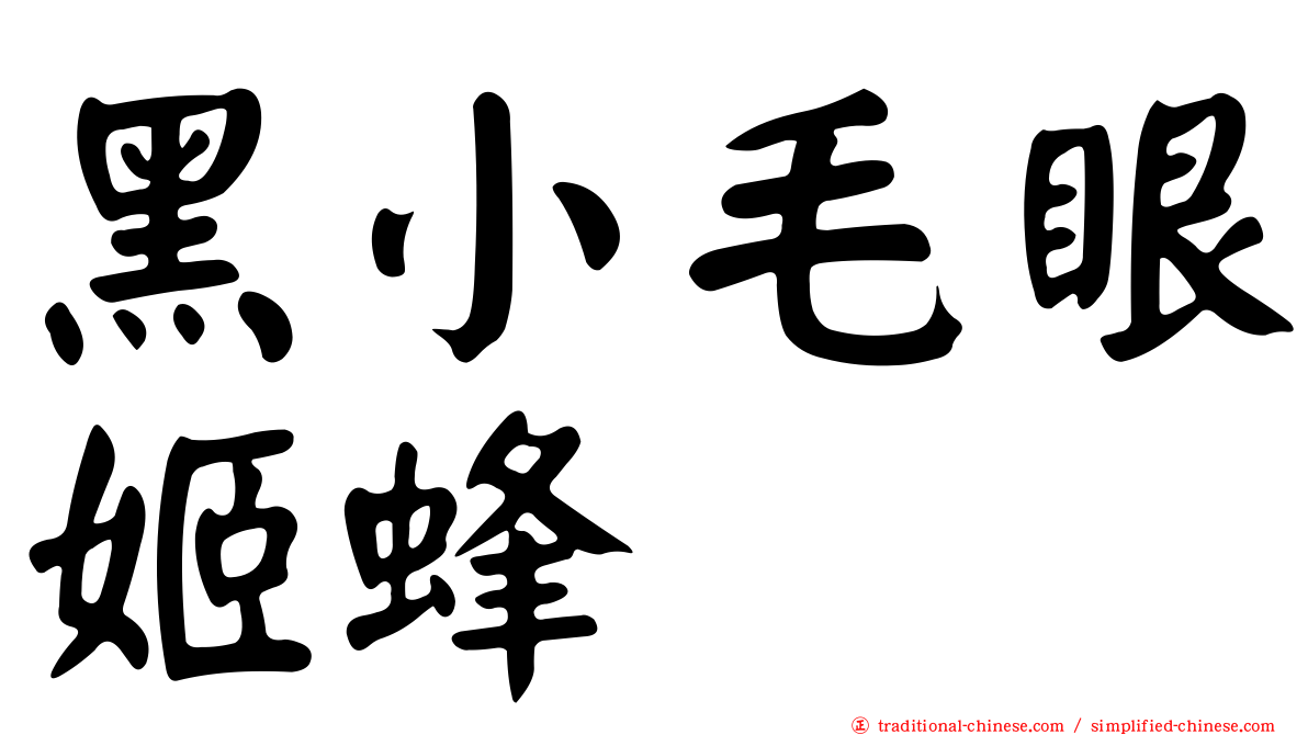 黑小毛眼姬蜂