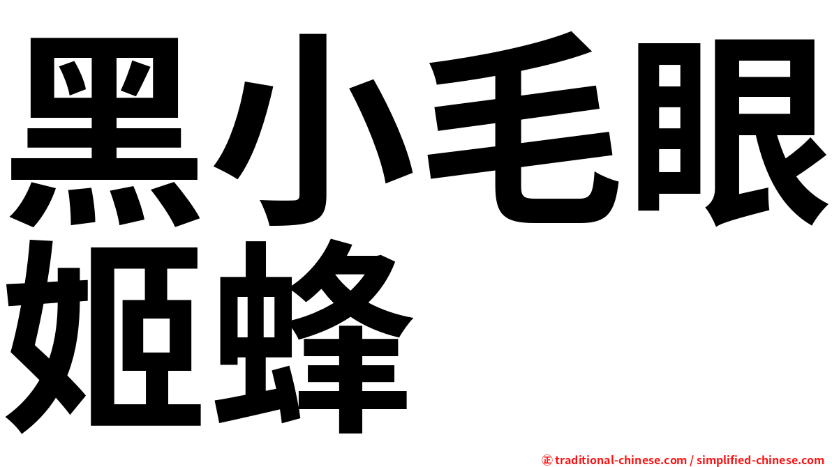 黑小毛眼姬蜂