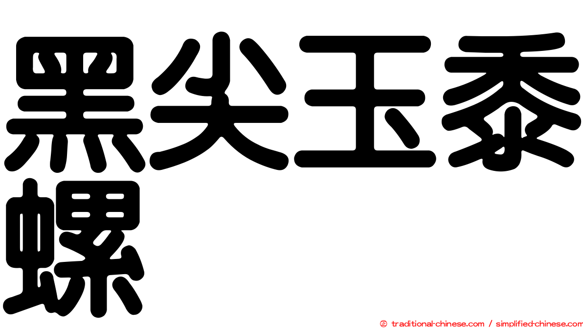 黑尖玉黍螺