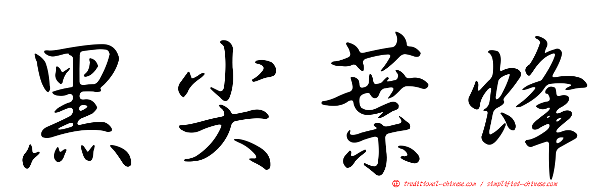 黑尖葉蜂