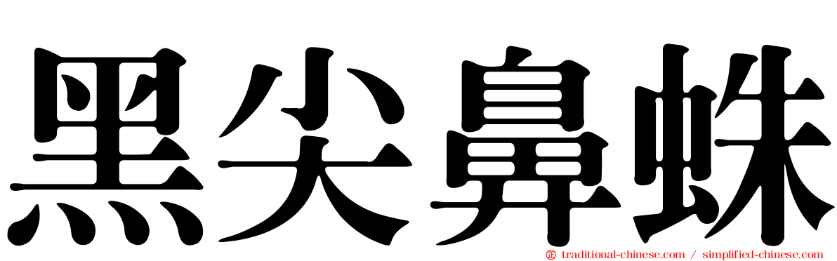黑尖鼻蛛