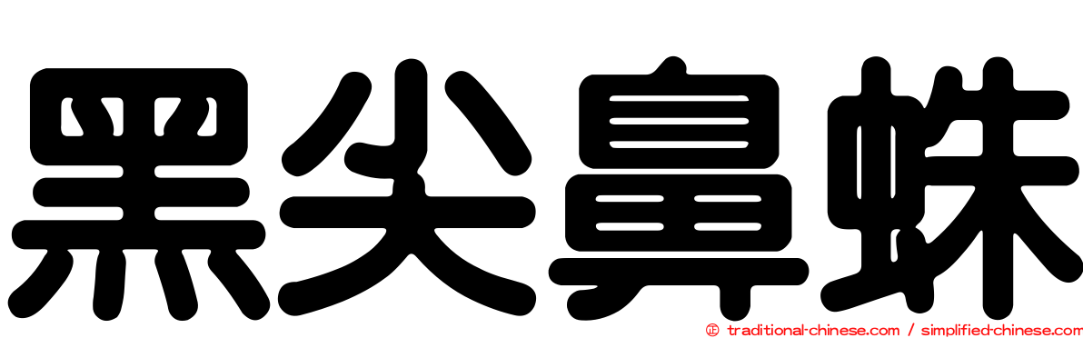 黑尖鼻蛛