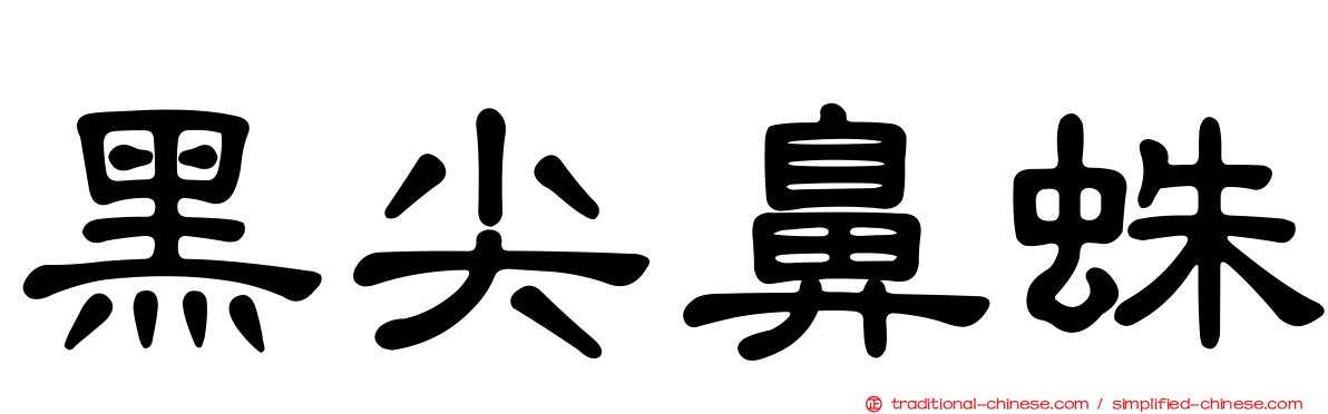 黑尖鼻蛛