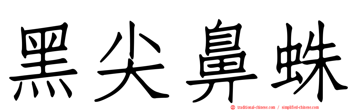 黑尖鼻蛛