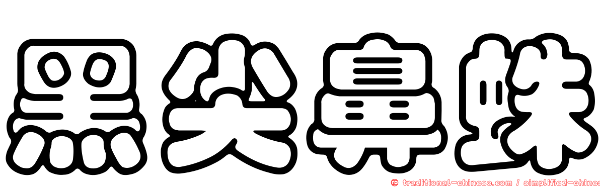 黑尖鼻蛛