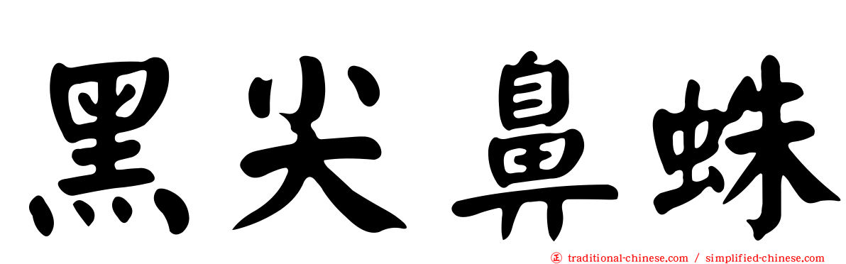 黑尖鼻蛛