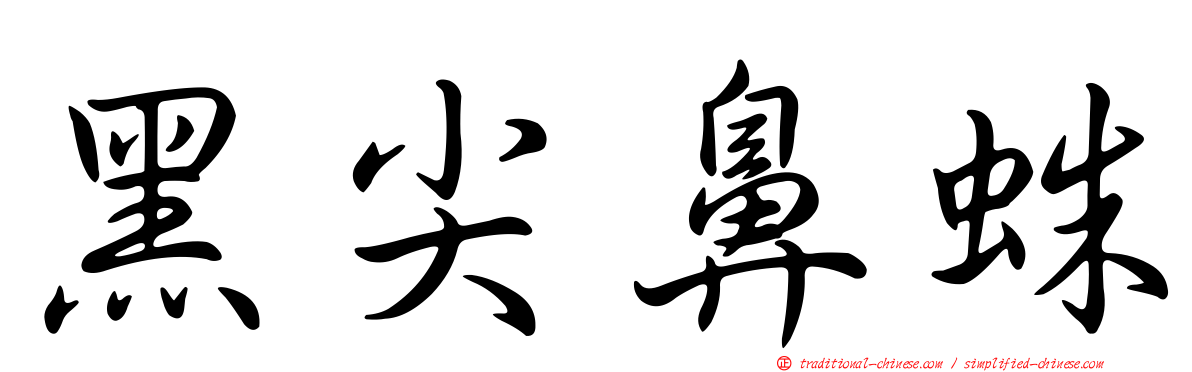 黑尖鼻蛛