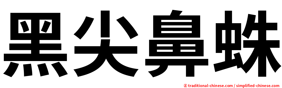 黑尖鼻蛛
