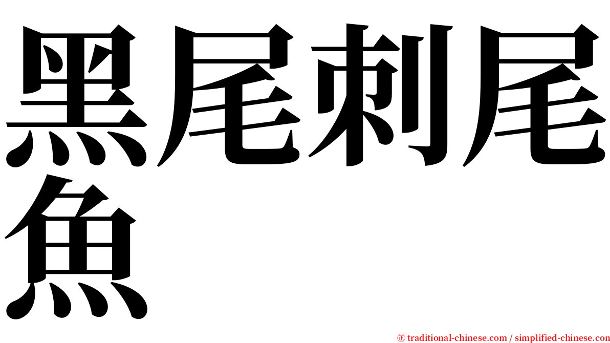 黑尾刺尾魚 serif font