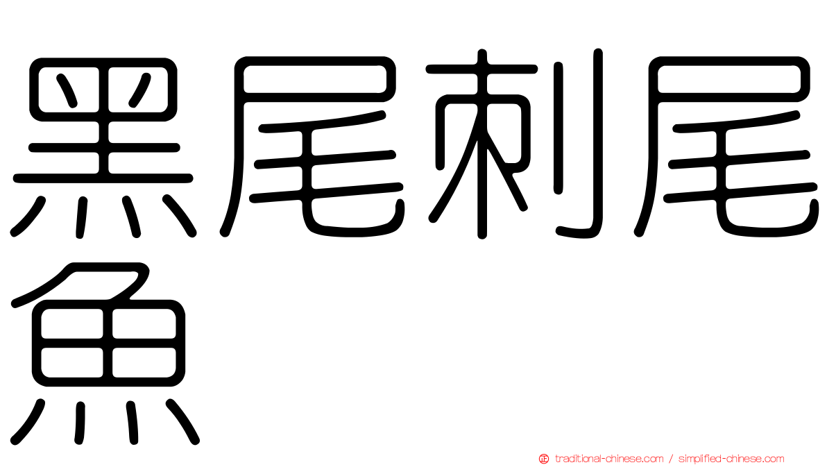 黑尾刺尾魚