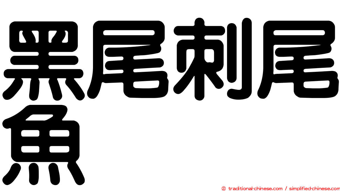 黑尾刺尾魚