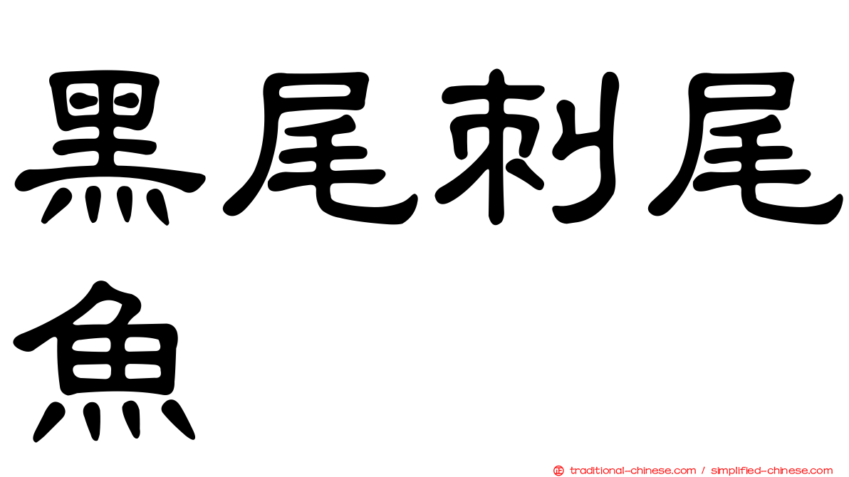 黑尾刺尾魚