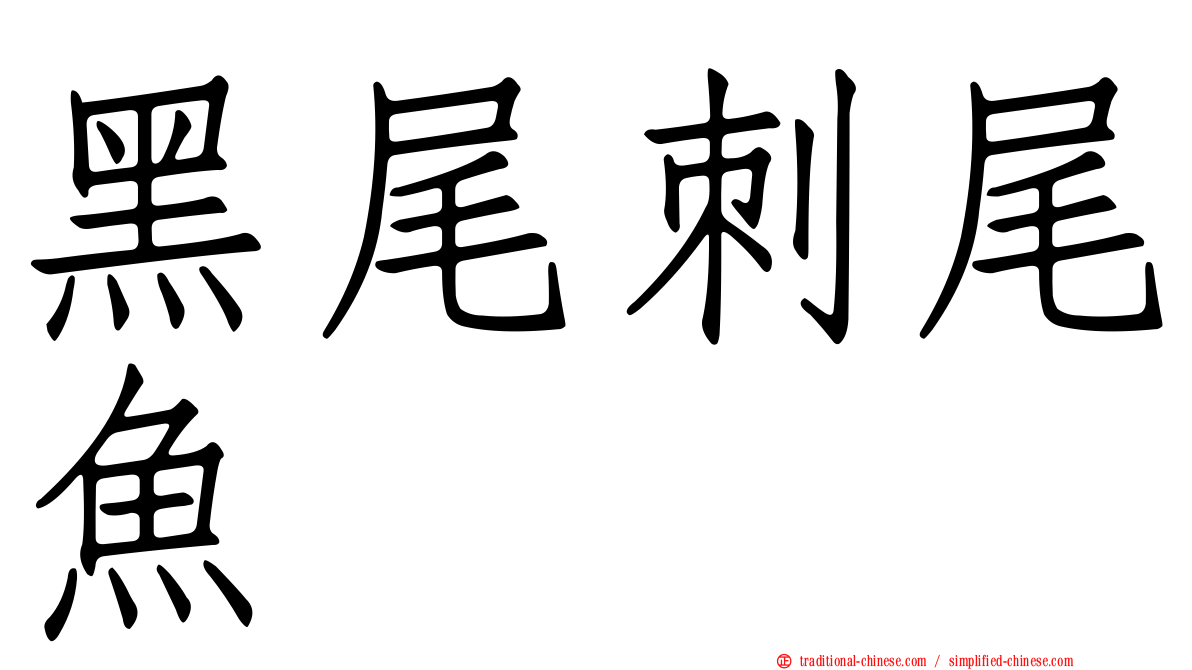 黑尾刺尾魚