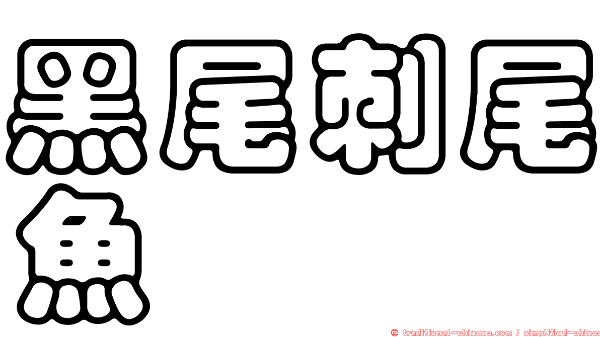 黑尾刺尾魚